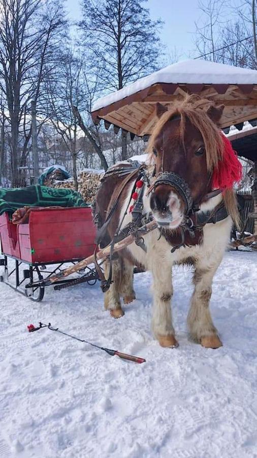 Casa Calea Haiducilor Sohodol  Kültér fotó